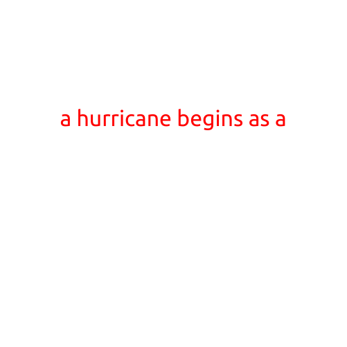 A Hurricane Begins as a Disturbance: Understanding the Formation of a Powerful Storm