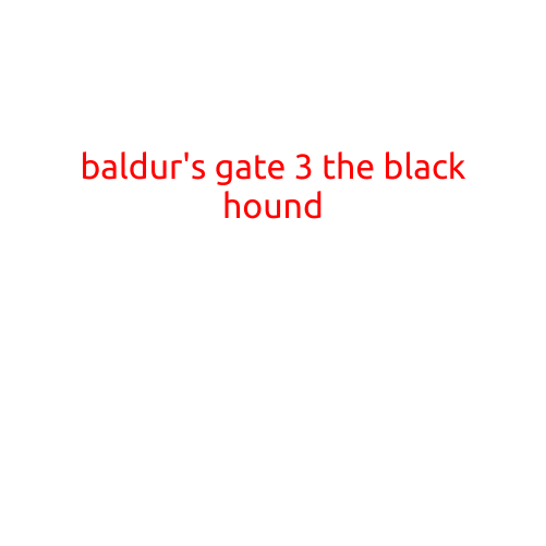 Baldur's Gate 3: The Black Hound