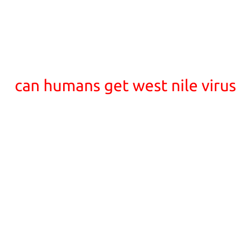 Can Humans Get West Nile Virus?