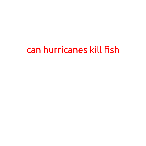 Can Hurricanes Kill Fish?