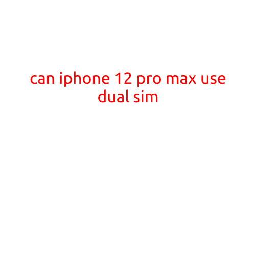 Can iPhone 12 Pro Max Use Dual SIM?