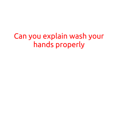 Can You Explain: Wash Your Hands Properly?