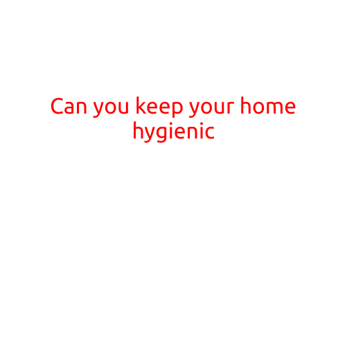 Can You Keep Your Home Hygienic?