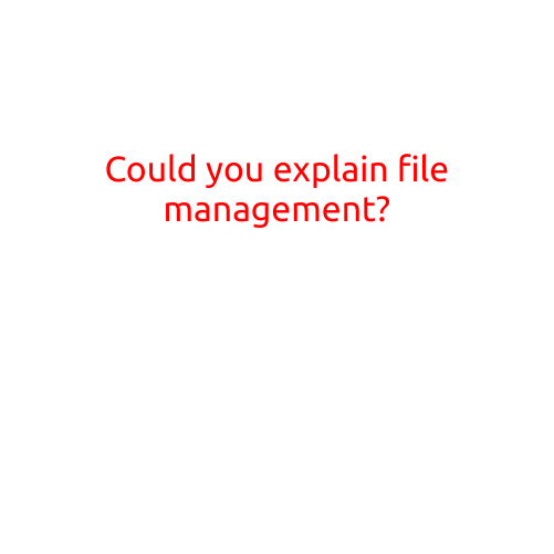 Could You Explain File Management?