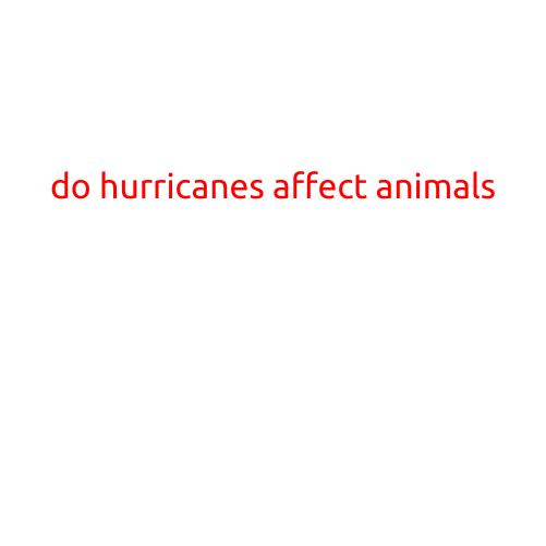 Do Hurricanes Affect Animals?