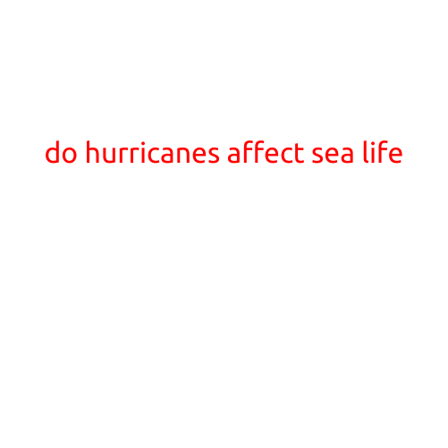 Do Hurricanes Affect Sea Life?