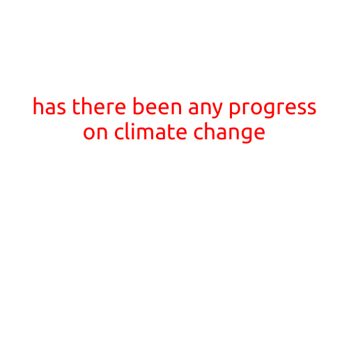 Has There Been Any Progress on Climate Change?