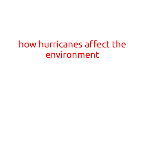 How Hurricanes Affect the Environment