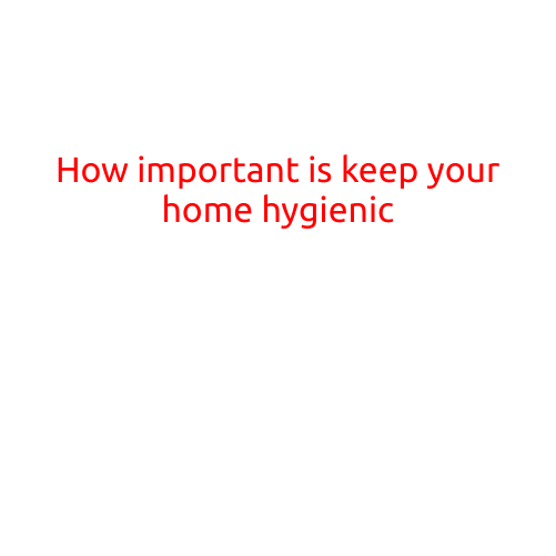 How Important is Keeping Your Home Hygienic?