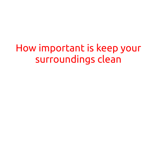 How Important is Keeping Your Surroundings Clean?