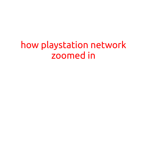 How PlayStation Network Zoomed In