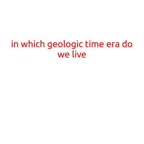 In Which Geologic Time Era Do We Live?