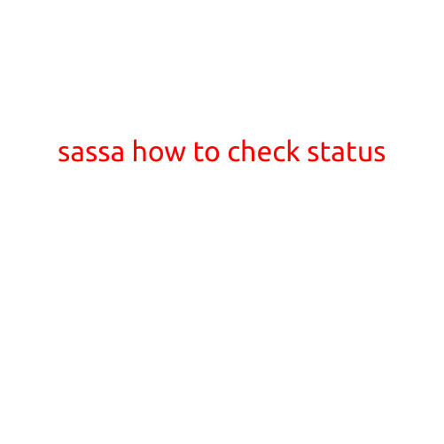 SASSA How to Check Status: A Step-by-Step Guide