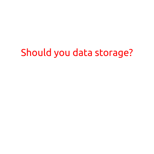 Should You Consider Data Storage?