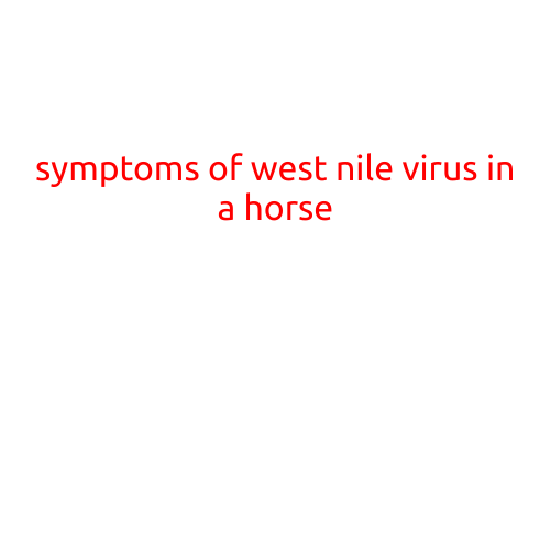 Symptoms of West Nile Virus in a Horse