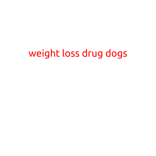 Weight Loss Drug Dogs: A New Hope for Combating Obesity