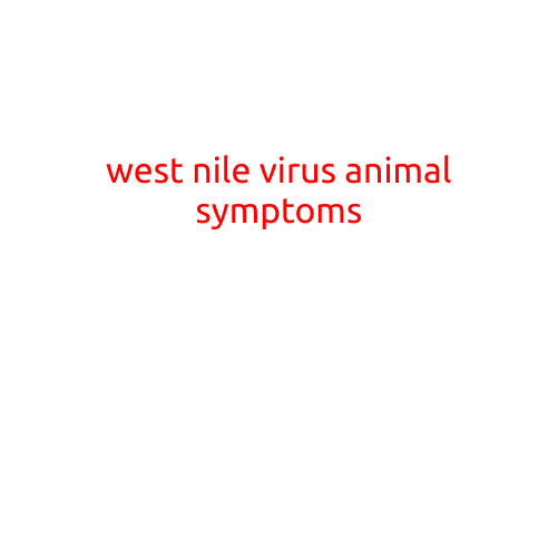 West Nile Virus Animal Symptoms: What You Need to Know