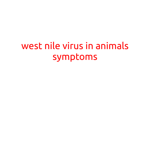 West Nile Virus in Animals: Symptoms to Watch Out For