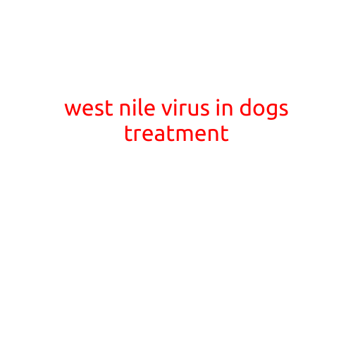 West Nile Virus in Dogs: Treatment and Prevention