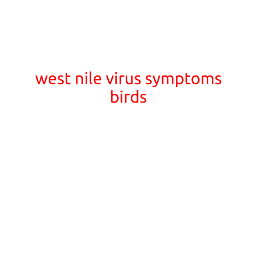 West Nile Virus Symptoms in Birds: What You Need to Know