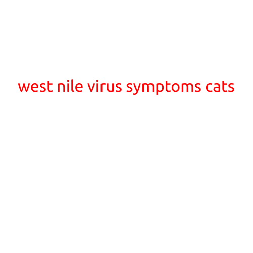 West Nile Virus Symptoms in Cats: What You Need to Know