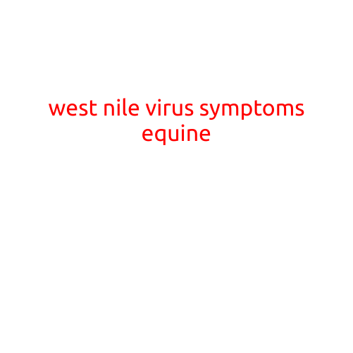 West Nile Virus Symptoms in Horses: What You Need to Know