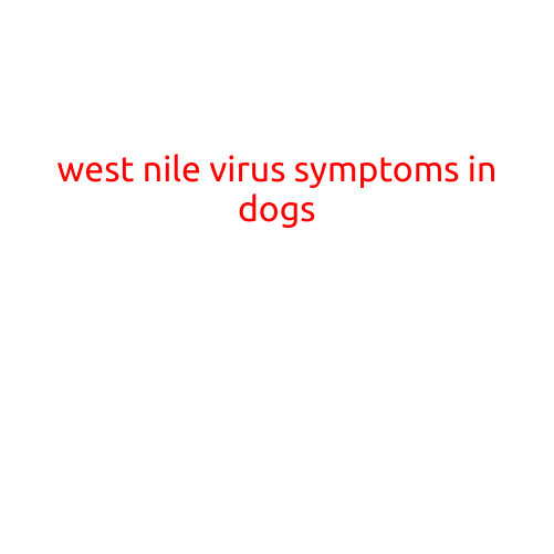 West Nile Virus Symptoms in Dogs: What You Need to Know