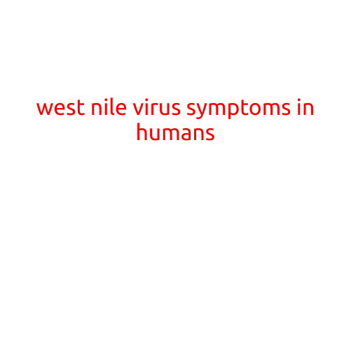 West Nile Virus Symptoms in Humans: What You Need to Know