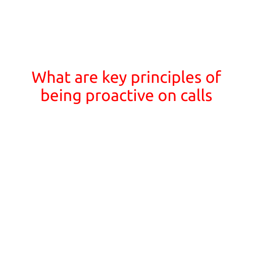 What are the Key Principles of Being Proactive on Calls?