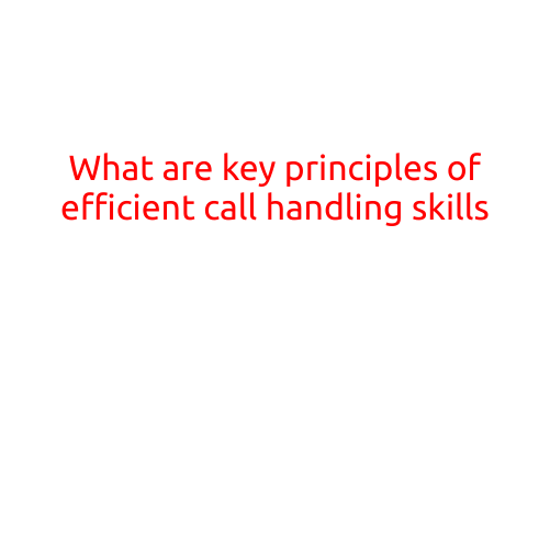 What are the Key Principles of Efficient Call Handling Skills?