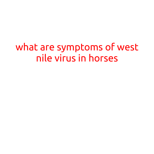 What are Symptoms of West Nile Virus in Horses?