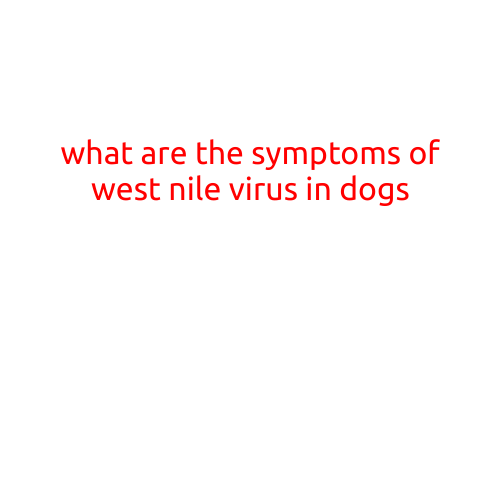 What Are the Symptoms of West Nile Virus in Dogs?