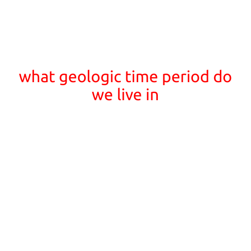 What Geologic Time Period Do We Live In?