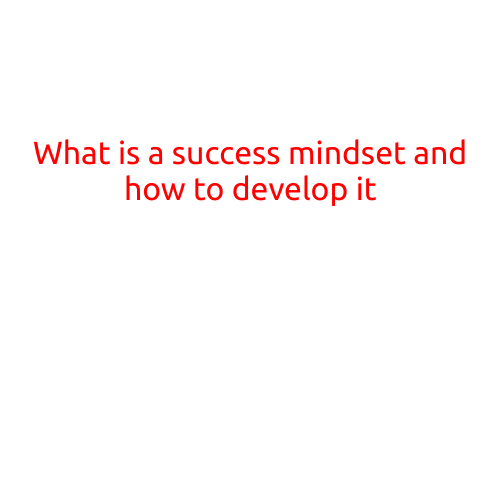 What is a Success Mindset and How to Develop It