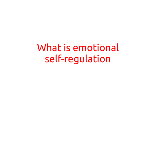 What is Emotional Self-Regulation?