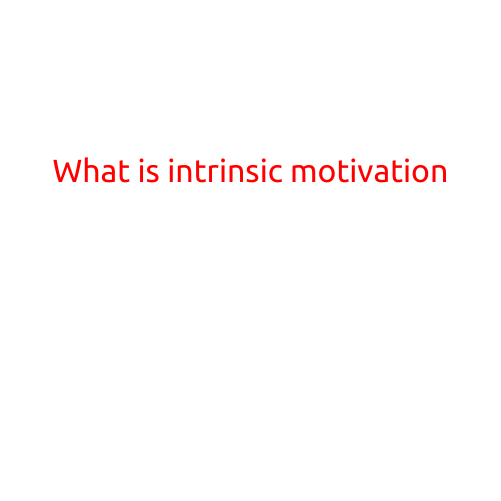 What is Intrinsic Motivation?