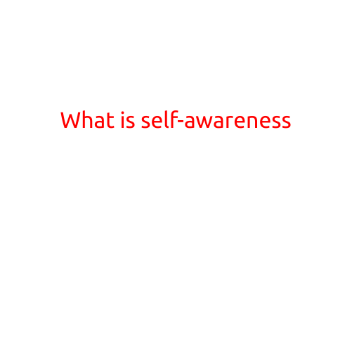 What is Self-Awareness?