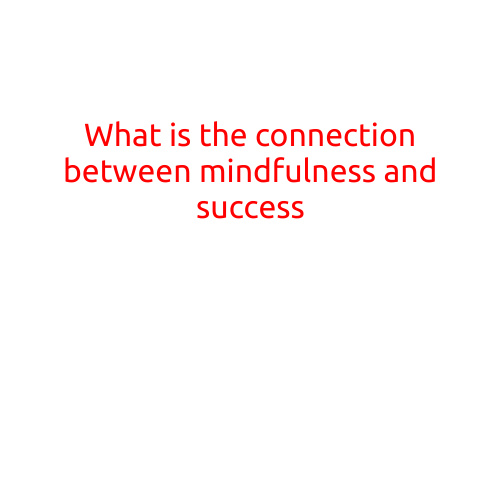 What is the Connection Between Mindfulness and Success?