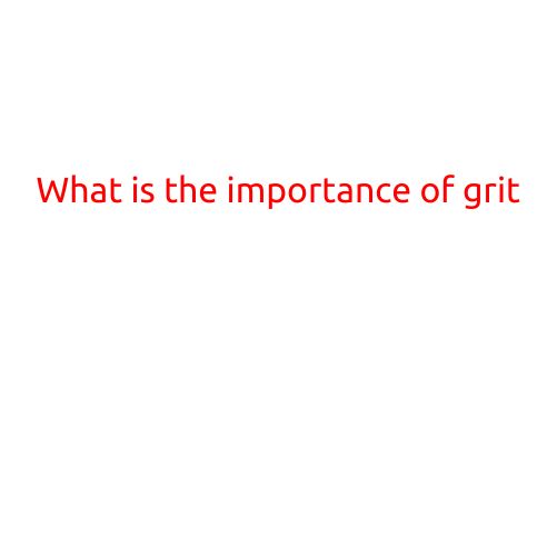 What is the Importance of Grit?