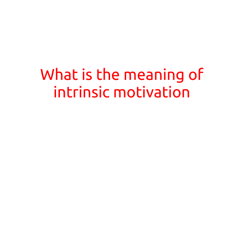 What is the Meaning of Intrinsic Motivation?