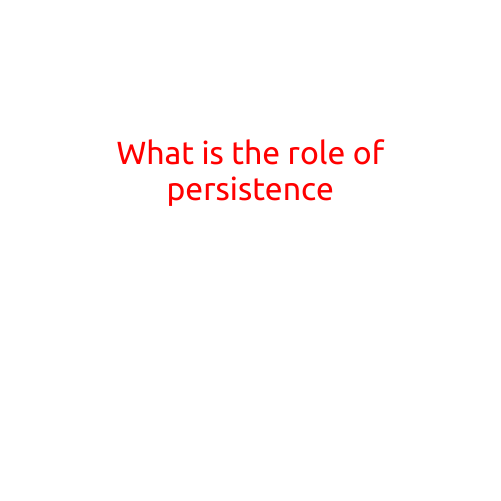 What is the Role of Persistence?