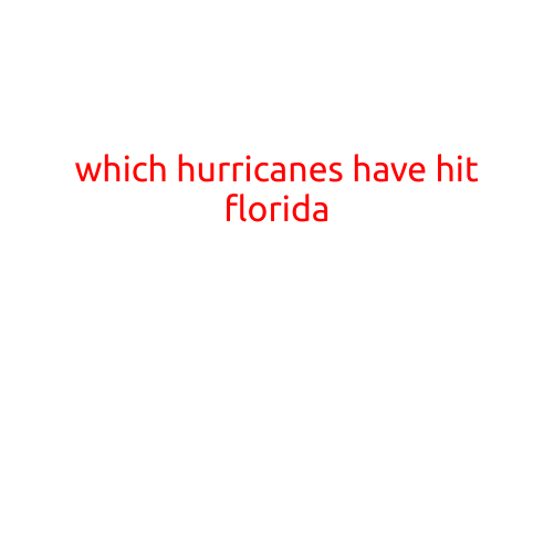 Which Hurricanes Have Hit Florida? A Look Back at the State's History of Stormy Weather